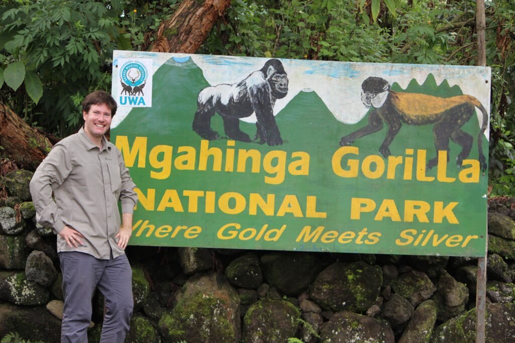 Mgahinga gorilla