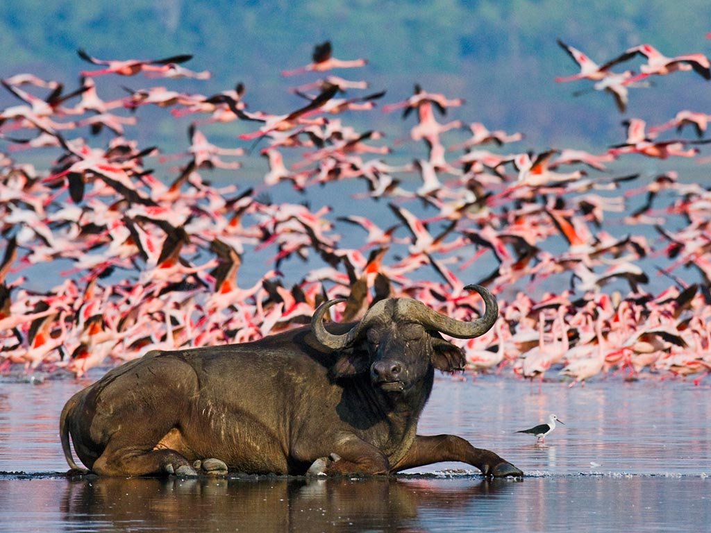 Bwindi Impenetrable National Park