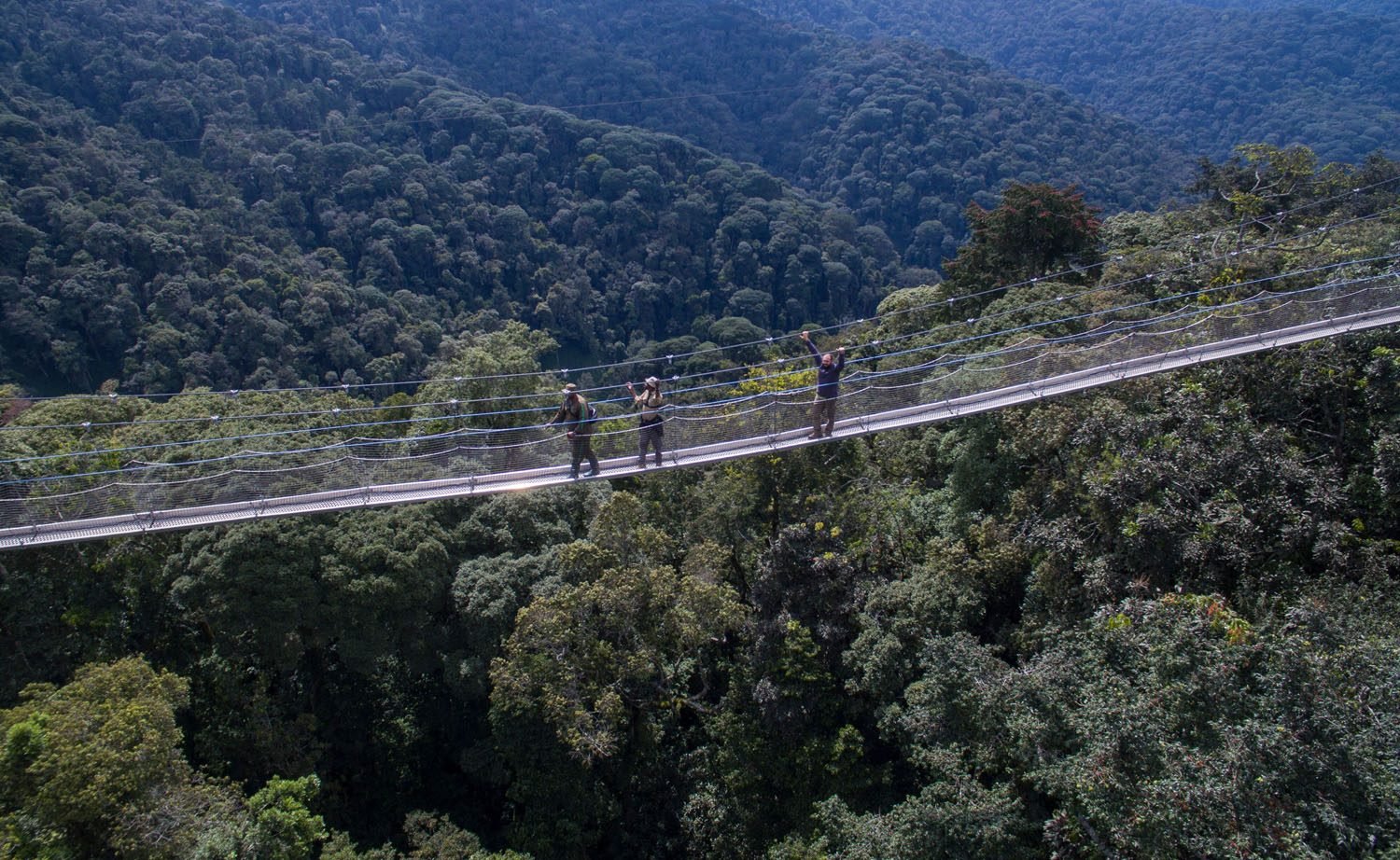 Bwindi Impenetrable National Park
