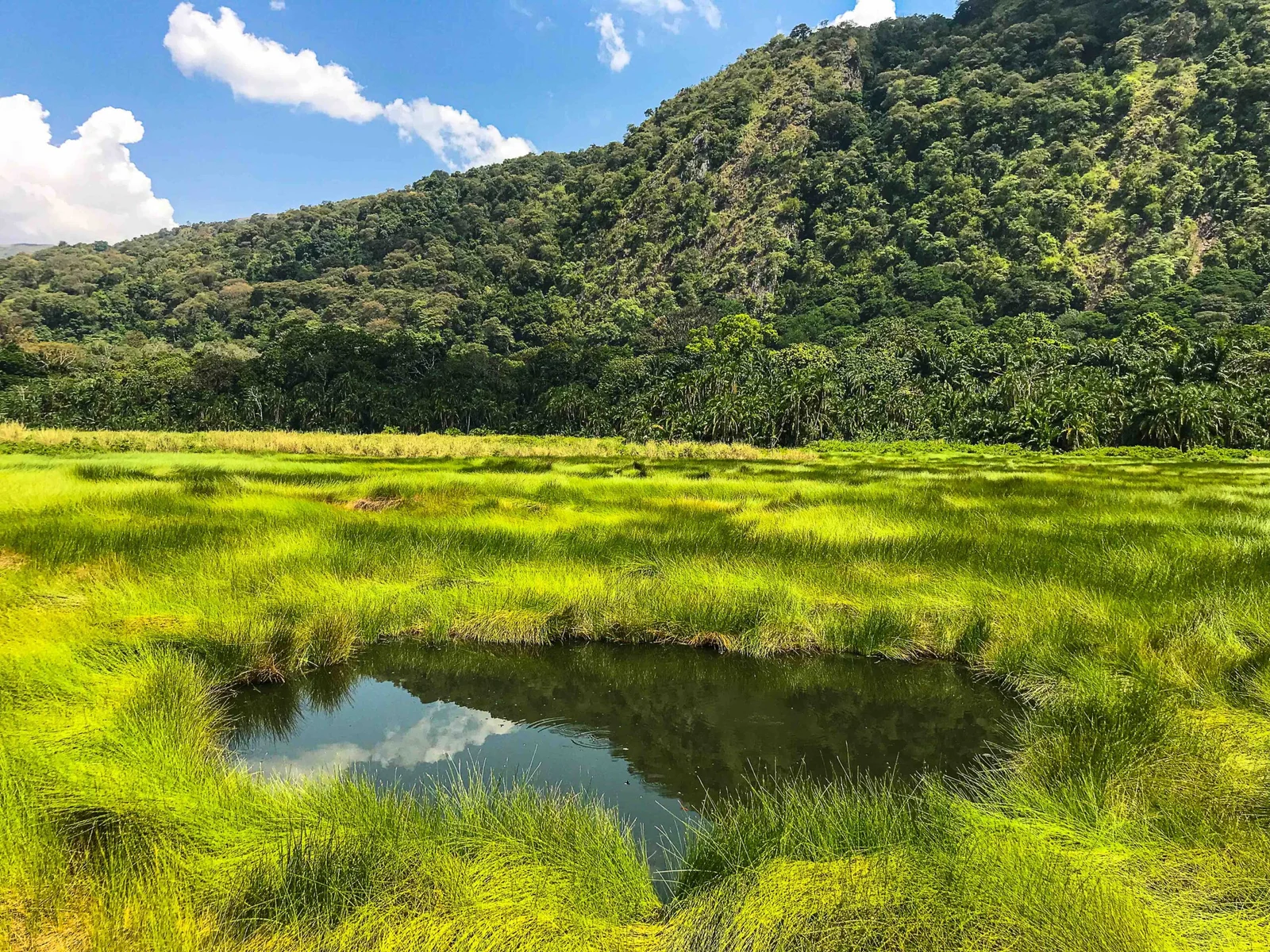 Bwindi Impenetrable National Park