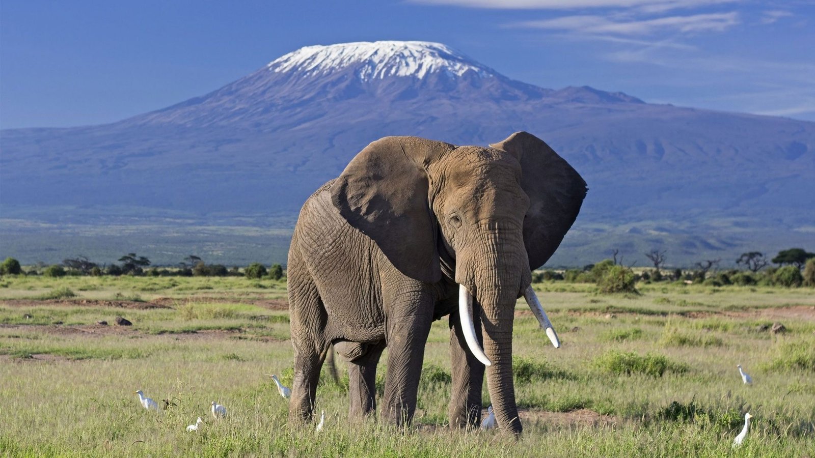 Bwindi Impenetrable National Park