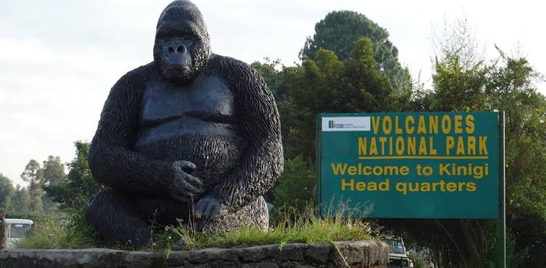 Bwindi Impenetrable National Park