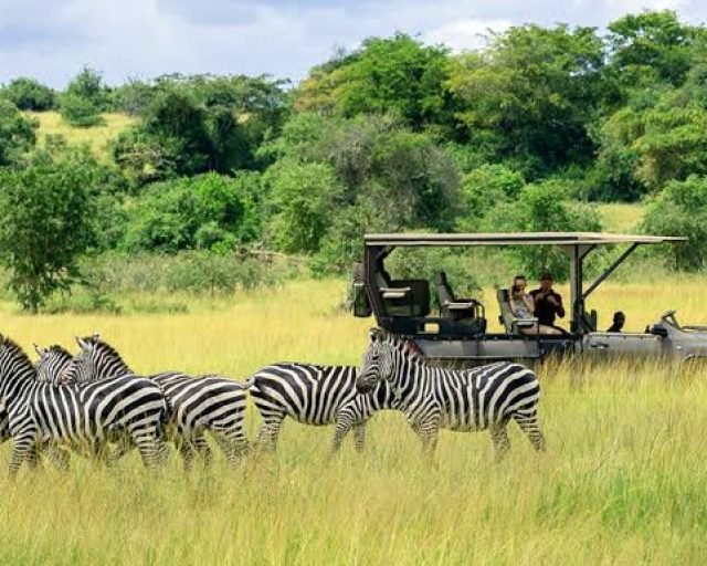 Akkagera National park