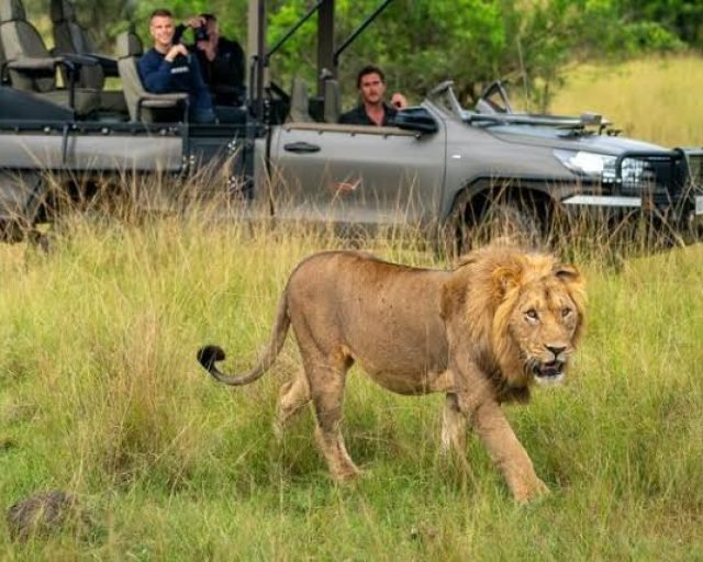 Game Drive in Akagera national park