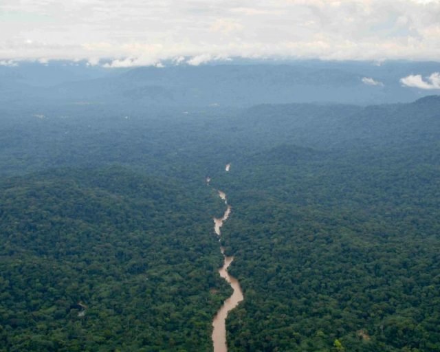 Gishwati Mukura National park