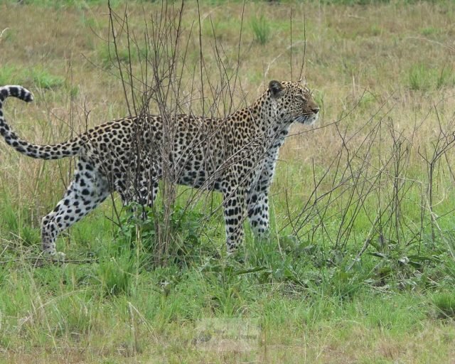 Lake-Mburo-National-Park