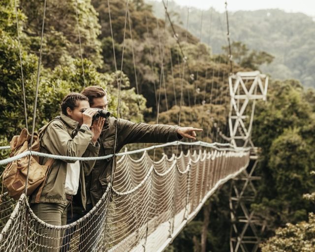 Nyungwe national park Rwanda