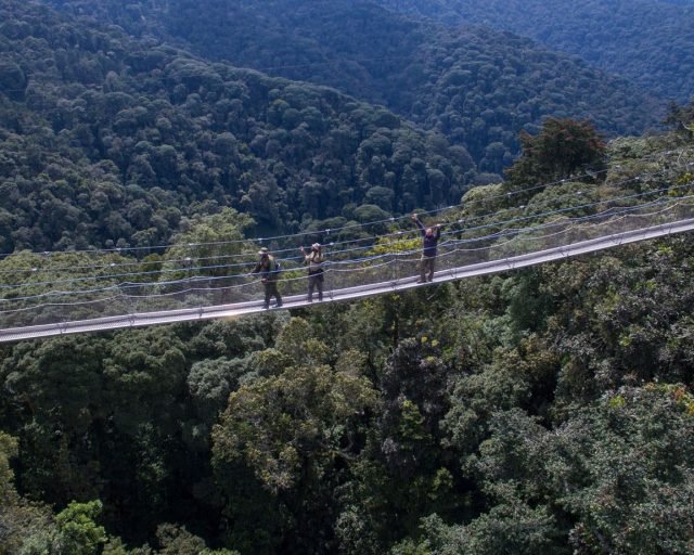 Nyungwe national park