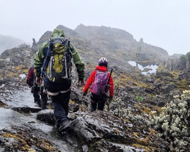climbing mountain Rwenzori