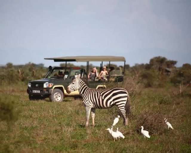 game drive in Amboseli