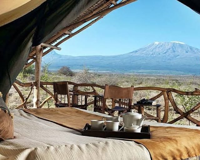 luxury in the savannah